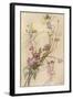 Fairies and Flowers-Warwick Goble-Framed Photographic Print