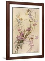 Fairies and Flowers-Warwick Goble-Framed Photographic Print