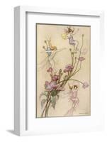 Fairies and Flowers-Warwick Goble-Framed Photographic Print