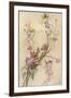 Fairies and Flowers-Warwick Goble-Framed Premium Photographic Print