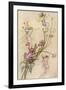 Fairies and Flowers-Warwick Goble-Framed Premium Photographic Print