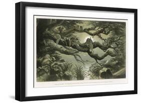 Fairies Asleep in the Moonlight-Richard Doyle-Framed Art Print