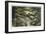 Fairies Asleep in the Moonlight-Richard Doyle-Framed Art Print