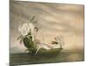 Fairies Floating Downstream in a Peapod-Amelia Jane Murray-Mounted Giclee Print