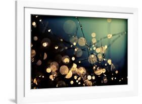 Fairies in My Garden-Incredi-Framed Photographic Print