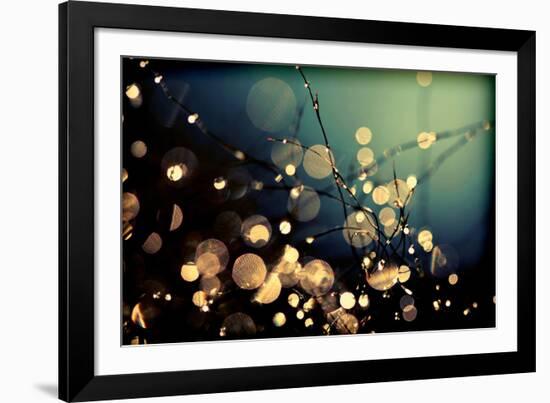 Fairies in My Garden-Incredi-Framed Photographic Print