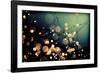 Fairies in My Garden-Incredi-Framed Photographic Print