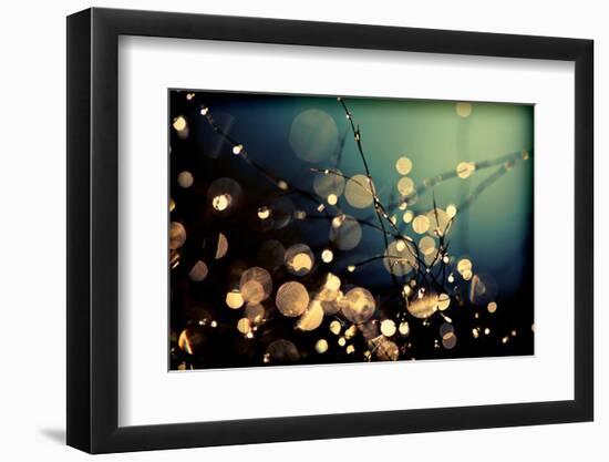 Fairies in My Garden-Incredi-Framed Photographic Print