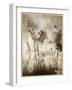 Fairies, Kensington Gdns-Arthur Rackham-Framed Photographic Print