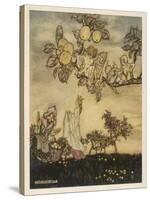 Fairies Pick Apples-Arthur Rackham-Stretched Canvas
