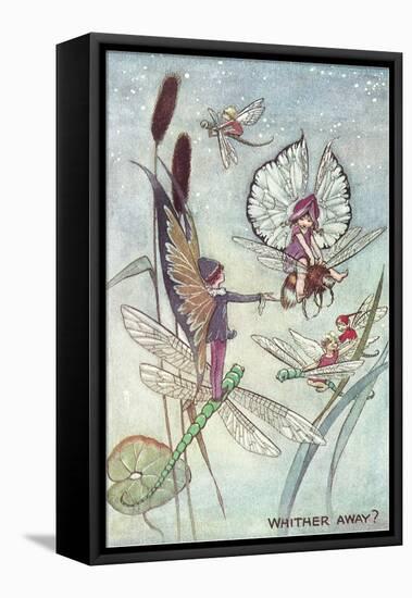 Fairies Riding Dragonflies and Bees-null-Framed Stretched Canvas