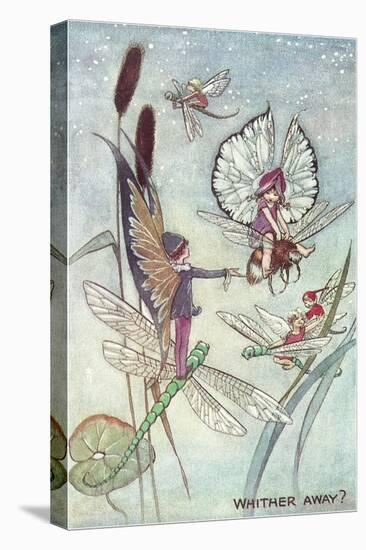 Fairies Riding Dragonflies and Bees-null-Stretched Canvas