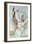 Fairies Riding Dragonflies and Bees-null-Framed Art Print