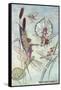 Fairies Riding Dragonflies and Bees-null-Framed Stretched Canvas