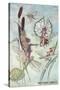 Fairies Riding Dragonflies and Bees-null-Stretched Canvas