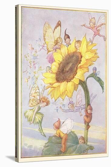 Fairies with Sunflower-null-Stretched Canvas