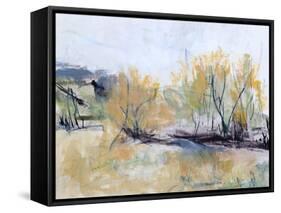 Fairlie Road-Ann Gordon-Framed Stretched Canvas