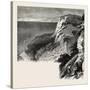 Fairlight Glen, the South Coast, UK, 19th Century-null-Stretched Canvas
