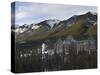 Fairmont Banff Springs, Banff, Alberta, Canada, North America-Snell Michael-Stretched Canvas