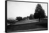 Fairway Lake Gold Course View at the Olympic Club - San Francisco, CA-Lantern Press-Framed Stretched Canvas