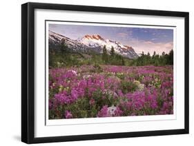 Fairweather Range II-Donald Paulson-Framed Giclee Print