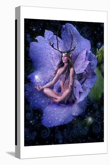 Fairy 26-null-Stretched Canvas