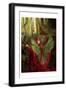 Fairy 43-null-Framed Art Print