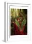 Fairy 43-null-Framed Art Print