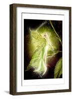 Fairy 5-null-Framed Art Print