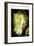 Fairy 5-null-Framed Art Print