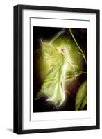 Fairy 5-null-Framed Art Print