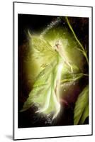 Fairy 5-null-Mounted Art Print