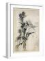 Fairy and Bee-Arthur Rackham-Framed Photographic Print