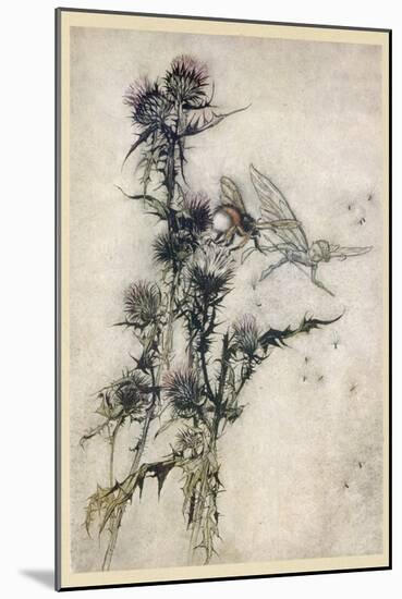 Fairy and Bee-Arthur Rackham-Mounted Photographic Print