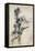 Fairy and Bee-Arthur Rackham-Framed Stretched Canvas