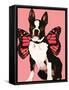 Fairy Boston Terrier-Natasha Wescoat-Framed Stretched Canvas