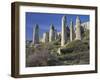 Fairy Chimneys in the 'Liebestal' (Love Valley), Tuff Stone, Cappadocia, Anatolia, Turkey-Rainer Mirau-Framed Photographic Print