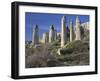 Fairy Chimneys in the 'Liebestal' (Love Valley), Tuff Stone, Cappadocia, Anatolia, Turkey-Rainer Mirau-Framed Photographic Print