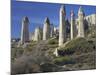 Fairy Chimneys in the 'Liebestal' (Love Valley), Tuff Stone, Cappadocia, Anatolia, Turkey-Rainer Mirau-Mounted Photographic Print