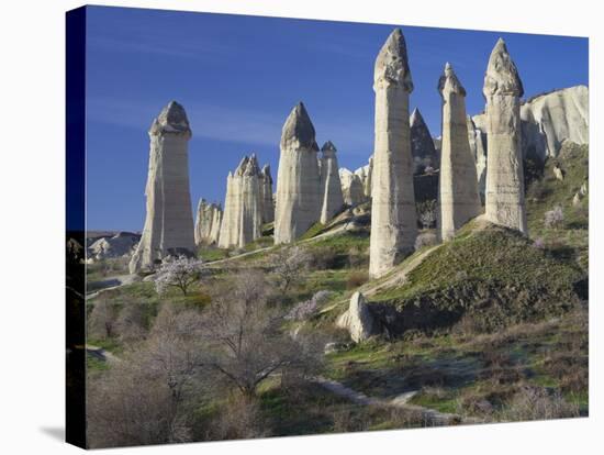 Fairy Chimneys in the 'Liebestal' (Love Valley), Tuff Stone, Cappadocia, Anatolia, Turkey-Rainer Mirau-Stretched Canvas