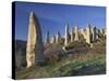 Fairy Chimneys in the 'Liebestal' (Valley), Tuff Stone, Cappadocia, Anatolia, Turkey-Rainer Mirau-Stretched Canvas