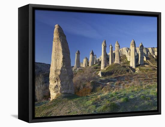 Fairy Chimneys in the 'Liebestal' (Valley), Tuff Stone, Cappadocia, Anatolia, Turkey-Rainer Mirau-Framed Stretched Canvas