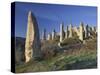 Fairy Chimneys in the 'Liebestal' (Valley), Tuff Stone, Cappadocia, Anatolia, Turkey-Rainer Mirau-Stretched Canvas