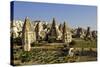 Fairy Chimneys Rock Formation Landscape Near Goreme, in Cappadocia, Turkey-Simon Montgomery-Stretched Canvas