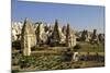 Fairy Chimneys Rock Formation Landscape Near Goreme, in Cappadocia, Turkey-Simon Montgomery-Mounted Photographic Print