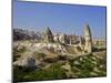 Fairy Chimneys Rock Formation Landscape Near Goreme-Simon Montgomery-Mounted Photographic Print