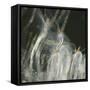Fairy Dance I-Gillian Hunt-Framed Stretched Canvas