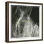 Fairy Dance I-Gillian Hunt-Framed Photographic Print