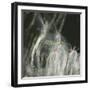 Fairy Dance I-Gillian Hunt-Framed Photographic Print