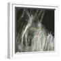 Fairy Dance I-Gillian Hunt-Framed Photographic Print